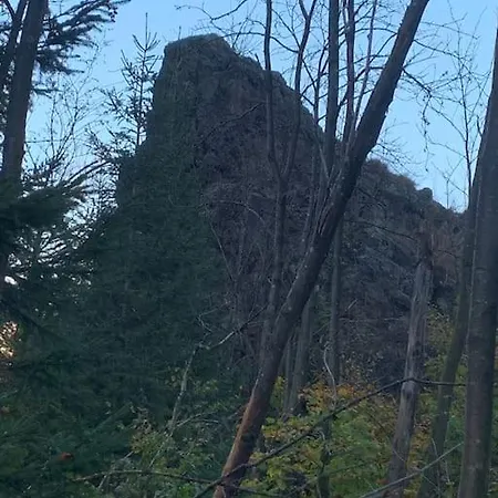 Jermerstein-Haeuschen Braunlage Exterior photo