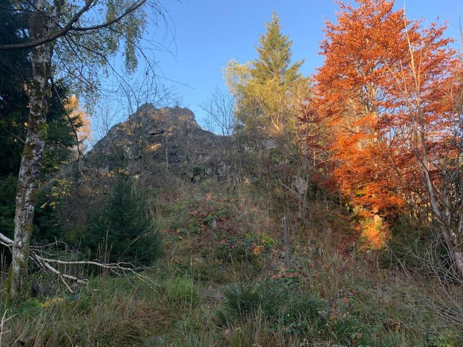 Jermerstein-haeuschen * Braunlage