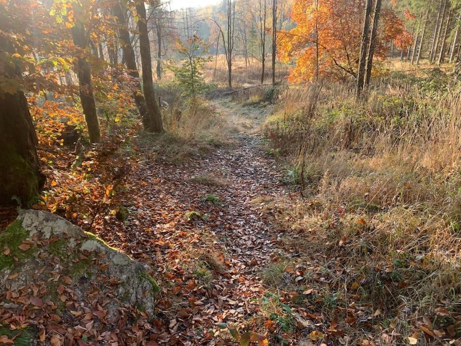 Jermerstein-haeuschen
